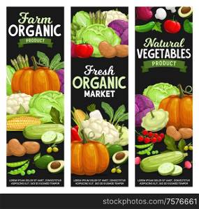 Vegetables and farm veggies, farm market and grocery store vector banners. Organic natural food pumpkin, tomato and pepper, zucchini squash and avocado, cauliflower, broccoli cabbage and asparagus. Organic farm food, vegetables and veggies