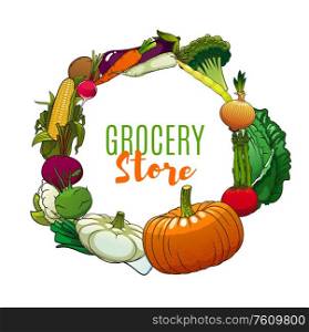 Vegetables and farm veggies grocery store, vector poster. Organic agriculture food, organic vegetarian pumpkin, squash and kohlrabi, broccoli and cauliflower cabbage, corn, beet, onion and asparagus. Healthy organic vegetables, farm grocery store
