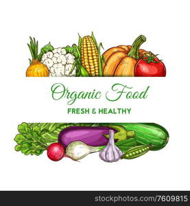 Vegetables and farm veggies, natural food and grocery store vector poster. Vegetarian corn, cauliflower and napa cabbage, zucchini squash, garlic and onion, pumpkin, eggplant and radish. Vegetables, green veggies food, farm grocery