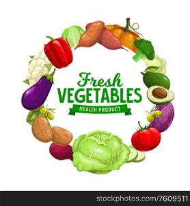 Vegetables and farm veggies, vector organic vegetarian food. Natural healthy cauliflower and broccoli cabbage, pumpkin, eggplant and potato, tomato and cucumber with avocado and beetroot harvest. Healthy organic vegetables, farm garden harvest