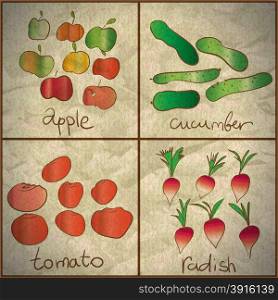 Vegetables and fruits are painted on old paper