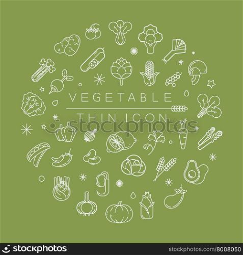 Vegetables and fruits thin icons , eps10 vector format
