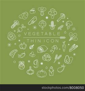 Vegetables and fruits thin icons , eps10 vector format