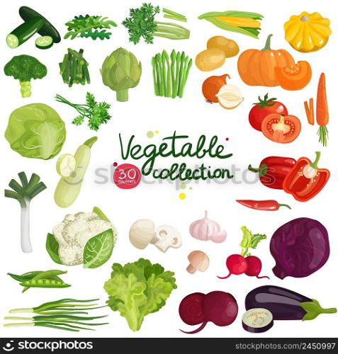 Vegetables and herbs collection with potato, corn, beet, eggplant, broccoli, arugula, leek and lettuce isolated vector illustration. Vegetables And Herbs Collection