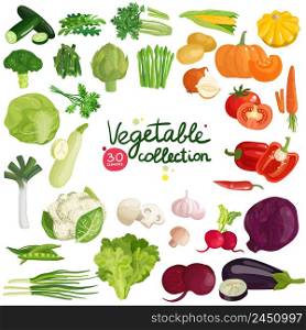 Vegetables and herbs collection with potato, corn, beet, eggplant, broccoli, arugula, leek and lettuce isolated vector illustration. Vegetables And Herbs Collection