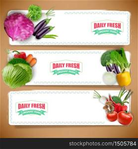 Vegetables banners and vegetables background.Vector