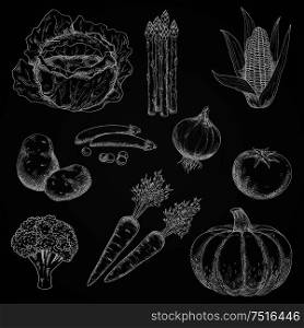 Vegetables chalk sketches on blackboard with tomato and broccoli, onion and corn, potato and pea, carrot and cabbage, asparagus and pumpkin. Restaurant menu, vegetarian food, agriculture design usage . Chalk sketches of fresh vegetables