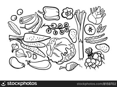 Vegetables doodle drawing collection. vegetable such as carrot, corn, ginger, cucumber, cabbage, potato, etc. Hand drawn vector doodle illustrations in black isolated over white background.