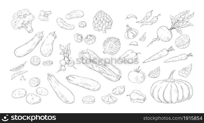 Vegetables engraving. Hand drawn organic agricultural market products. Green healthy food from farm. Isolated ripe pumpkin and broccoli. Vegetarian meal natural ingredients sketch. Vector crop set. Vegetables engraving. Hand drawn organic agricultural market products. Green healthy food from farm. Isolated pumpkin and broccoli. Vegetarian meal ingredients sketch. Vector crop set