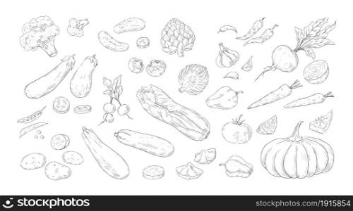 Vegetables engraving. Hand drawn organic agricultural market products. Green healthy food from farm. Isolated ripe pumpkin and broccoli. Vegetarian meal natural ingredients sketch. Vector crop set. Vegetables engraving. Hand drawn organic agricultural market products. Green healthy food from farm. Isolated pumpkin and broccoli. Vegetarian meal ingredients sketch. Vector crop set