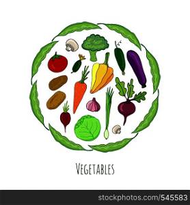 Vegetables hand drawn set. Isolated doodle vector collection. Colorful. Vegetables hand drawn set. Isolated doodle vector collection.