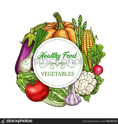 Vegetables, healthy greenery food, vector veggies and farm harvest sketch banner. Pumpkin and asparagus, tomato and garlic, cauliflower and corn, cabbage and eggplant, onion and radish vegetables. Healthy vegetables and greens sketch banner