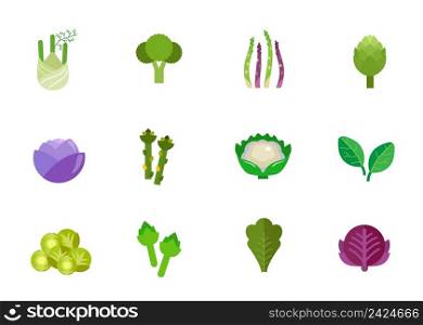 Vegetables icon set. Fennel Broccoli Asparagus stem Artichoke Red cabbage Asparagus Cauliflower Spinach Brussel sprout Artichoke Lettuce Red cabbage head
