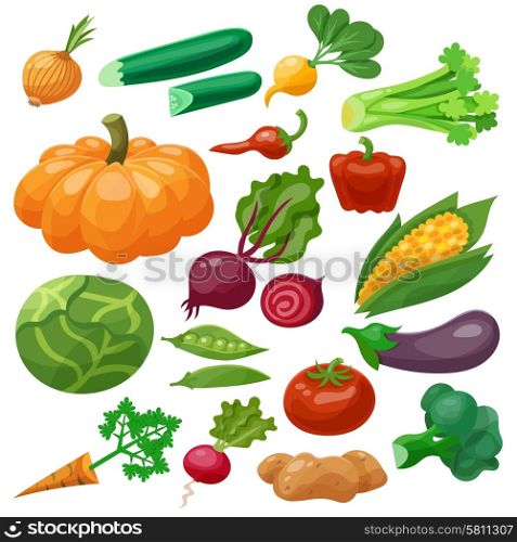 Vegetables icons set with cauliflower maize cabbage radish isolated vector illustration. Vegetables Icons Set