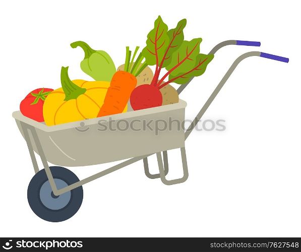 Vegetables in cart, volume with handles and wheel. Trolley with tomato, potato and carrot, pumpkin and ripe, bell pepper, agricultural work, harvest vector. Fresh Harvest in Cart, Vegetable in Trolley Vector