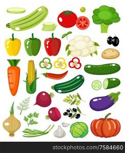 Vegetables on a white background isolated. Vector illustration