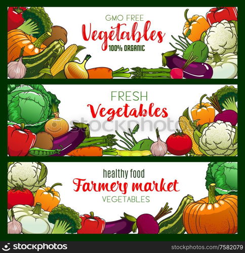 Vegetables, organic farm food veggies and GMO free vegetarian food banners. Vector corn, broccoli and zucchini squash, asparagus and cauliflower, vegan pumpkin and cucumber, carrot, tomato and salads. Vegetarian food, vegetables and farm veggies
