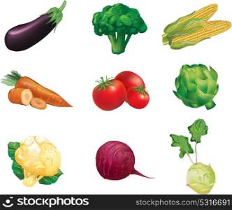 Vegetables, set of isolated, detailed vector illustrations and icons - eggplant, broccoli, corn, carrot, tomato, artichoke, cauliflower, beets, celery