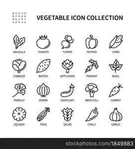 Vegetables, simple set of vector linear icons. Healthy food. Garlic, tomato, onion, chilli, basil, corn, peas and more. Isolated collection of vegetables icons for web sites on white background.. Vegetables, simple set of vector linear icons. Isolated collection of vegetables icons. Vector symbol set of Healthy food.