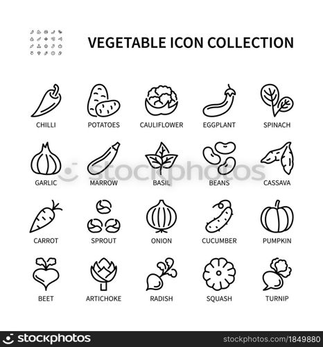 Vegetables, simple set of vector linear icons. Natural food. Cucumber, potato, carrot, beans, cauliflower, onion and more. Isolated collection of vegetables icons for web sites on white background.. Vegetables, simple set of vector linear icons. Collection of vegetables icons. Vector symbol set of healthy food on white background.