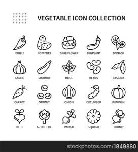 Vegetables, simple set of vector linear icons. Natural food. Cucumber, potato, carrot, beans, cauliflower, onion and more. Isolated collection of vegetables icons for web sites on white background.. Vegetables, simple set of vector linear icons. Collection of vegetables icons. Vector symbol set of healthy food on white background.