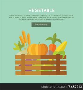 Vegetables vector banner. Flat design. Illustration of wooden box full of fresh farm plants on color background for web design. Farming concept with wheat, pumpkin, corn, beets, carrot . Vegetable Vector Web Banner in Flat Design.