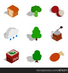 Vegetarian food icons set. Isometric set of 9 vegetarian food vector icons for web isolated on white background. Vegetarian food icons set, isometric style