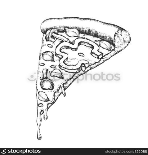 Vegetarian Italian Slice Pizza Hand Drawn Vector. Slice Cheese Pizza With Ingredients Mushroom Honey Agaric And Paprika Pepper, Basil Leaves And Oregano Concept. Designed Monochrome Illustration. Vegetarian Italian Slice Pizza Hand Drawn Vector