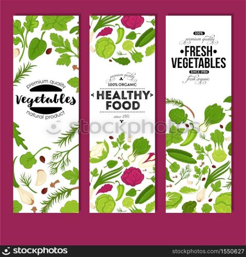 Vegetarian nutrition fresh vegetables and healthy food banners organic vector cabbage and cauliflower celery and garlic chili pepper and cucumber green onion and dill rosemary and basil mint and clove. Fresh vegetables and healthy food banners organic vegetarian nutrition