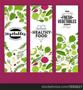 Vegetarian nutrition fresh vegetables and healthy food banners organic vector cabbage and cauliflower celery and garlic chili pepper and cucumber green onion and dill rosemary and basil mint and clove. Fresh vegetables and healthy food banners organic vegetarian nutrition