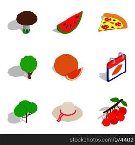Vegetarian pastries icons set. Isometric set of 9 vegetarian pastries vector icons for web isolated on white background. Vegetarian pastries icons set, isometric style
