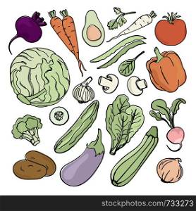 VEGETARIAN SET Nutrition Paleo Natural Diet Vector Illustration