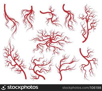 Veins and capillary icons set. Veins vector. Vessel and capillary, artery and vein isolated on white background