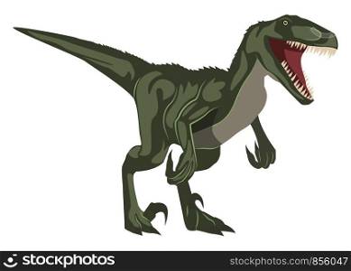 Velociraptor, illustration, vector on white background.
