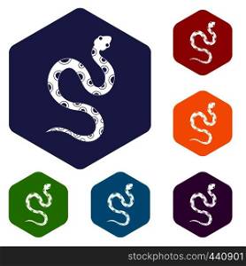 Venomous snake icons set hexagon isolated vector illustration. Venomous snake icons set hexagon