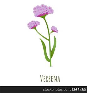 Verbena flower icon. Cartoon of verbena flower vector icon for web design isolated on white background. Verbena flower icon, cartoon style