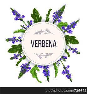 Verbena Round Circle badge. leaf branch, flowers and leaves. Vervain Herb template. for alternative medicine, cosmetics, health care product, aromatherapy, enclosure, flyer, flier, text copy space. Verbena Round Circle badge. leaf branch, flowers and leaves. Vervain Herb template. for alternative medicine