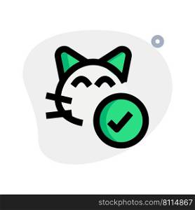 Verified and checked cat’s vaccination records