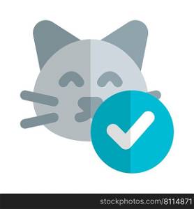 Verified and checked cat’s vaccination records