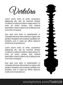 Vertebra poster bone part and banner information about human internal bony spinal column, backbone silhouette with text sample vector illustration. Vertebra Poster Bone Part Vector Illustration