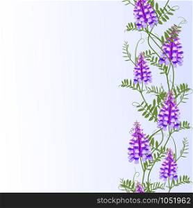 Vertical border seamless pattern wildflowers bindweed bird vetch canada pea for banners. Vector illustration. Vertical border seamless pattern wildflowers bindweed bird vetch canada pea