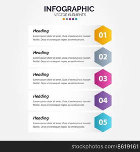 Vertical Infographic business marketing vector design colorful template folder 5 options or steps in minimal style Vector Illustration