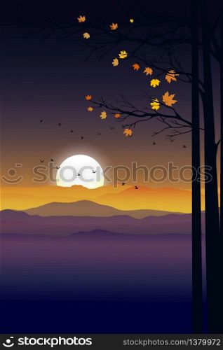 Vertical mountain landscape with silhouettes misty pine trees in forest with sunrise, Peaceful panoramic natural in minimalist style, Evening light natural for holiday season background concept