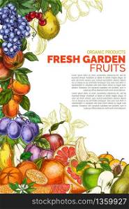 Vertical poster template. Garden fruits, colored hand drawn vector illustrations.