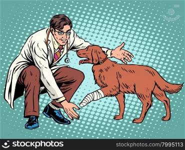 vet dog wounded paw pop art retro style. Doctor of veterinarian and treatment in the veterinary clinic. treatment of domestic and farm animals. Pets. vet dog wounded paw