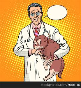 Vet pet health disease pop art retro style. Vet doctor holding pet. A cat or a dog. Treatment of domestic and farm animals. Vet pet health disease