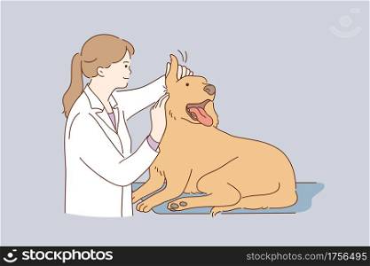 Veterinarian doctor during work concept. Young kind smiling woman veterinarian in white uniform working at office examining ears dog vector illustration . Veterinarian doctor during work concept