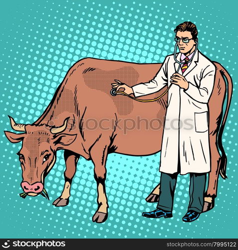 Veterinarian examines a cow farm animal medicine pop art retro style. Agriculture and health allowed. Professionals at work. Veterinarian examines a cow farm animal medicine