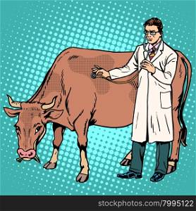 Veterinarian examines a cow farm animal medicine pop art retro style. Agriculture and health allowed. Professionals at work. Veterinarian examines a cow farm animal medicine