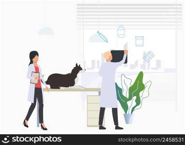 Veterinarians examining dog in vet clinic. Pet treatment, consultation, animal care concept. Vector illustration can be used for topics like health, vet clinic, veterinary
